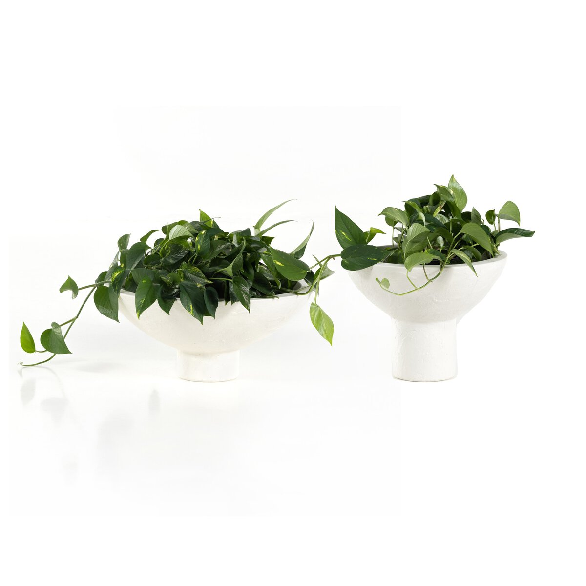 Pressler Outdoor Planter, Set Of 2